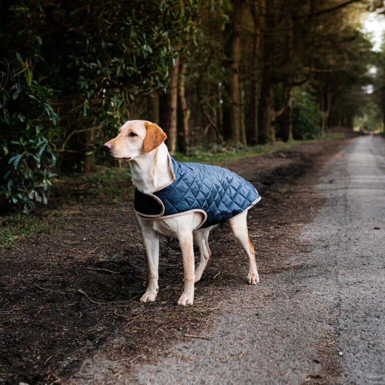 Danish Design Quilted Dog Coat