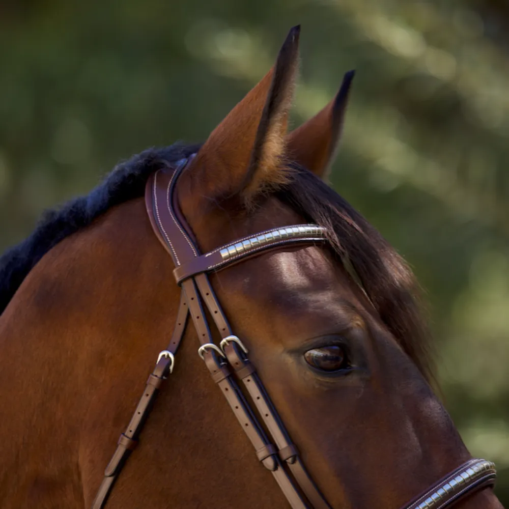 Galway Bridle - Wide Silver Clincher Jumper Bridle