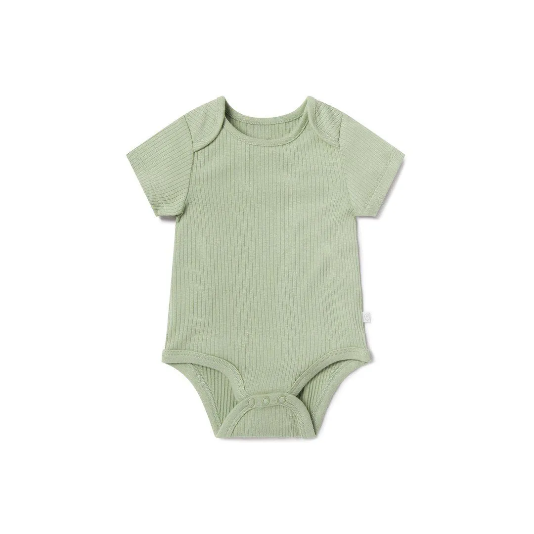 MORI Ribbed Short Sleeve Bodysuit - Sage