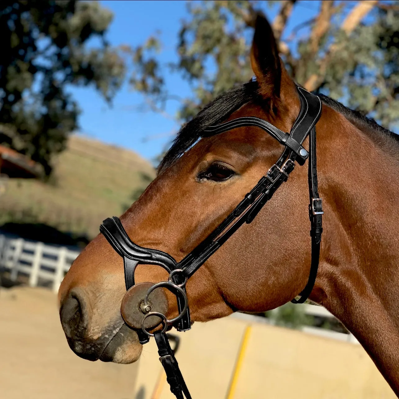 Remington - Black Leather Anatomical Jumper Bridle