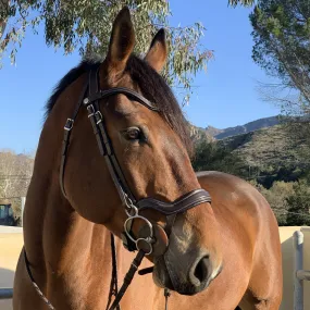 Remington - Brown Leather Anatomical Jumper Bridle