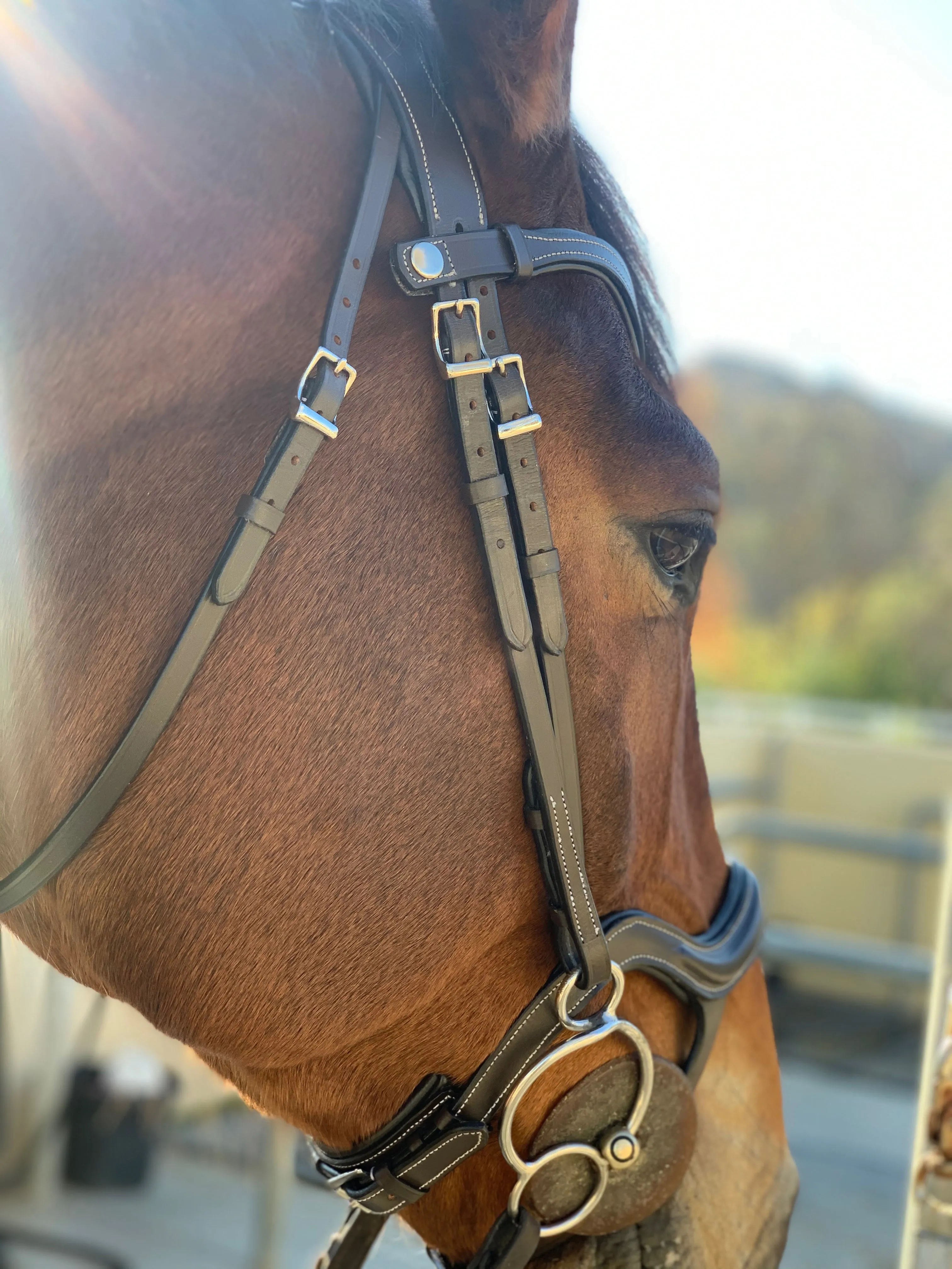 Remington - Brown Leather Anatomical Jumper Bridle