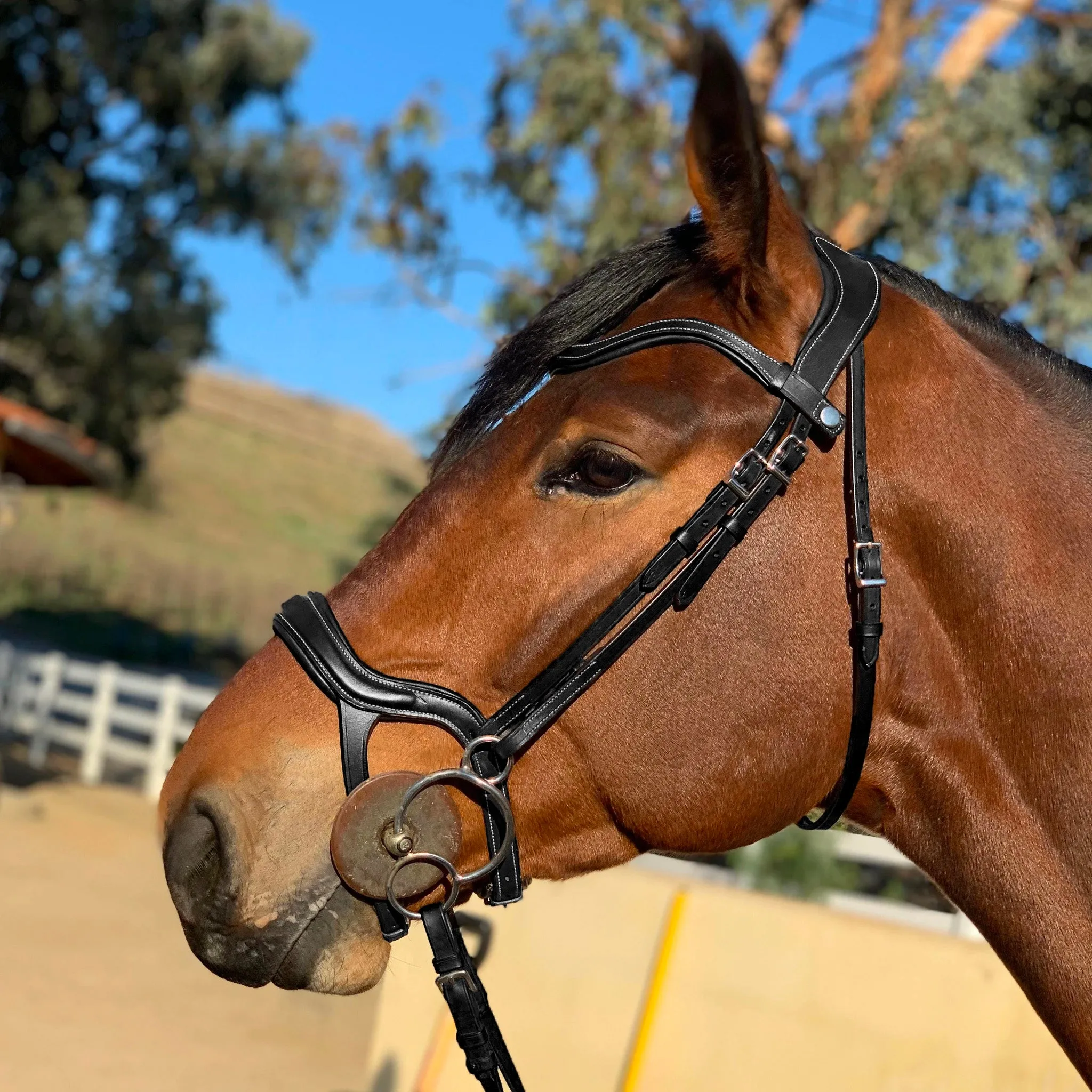 Remington - Brown Leather Anatomical Jumper Bridle