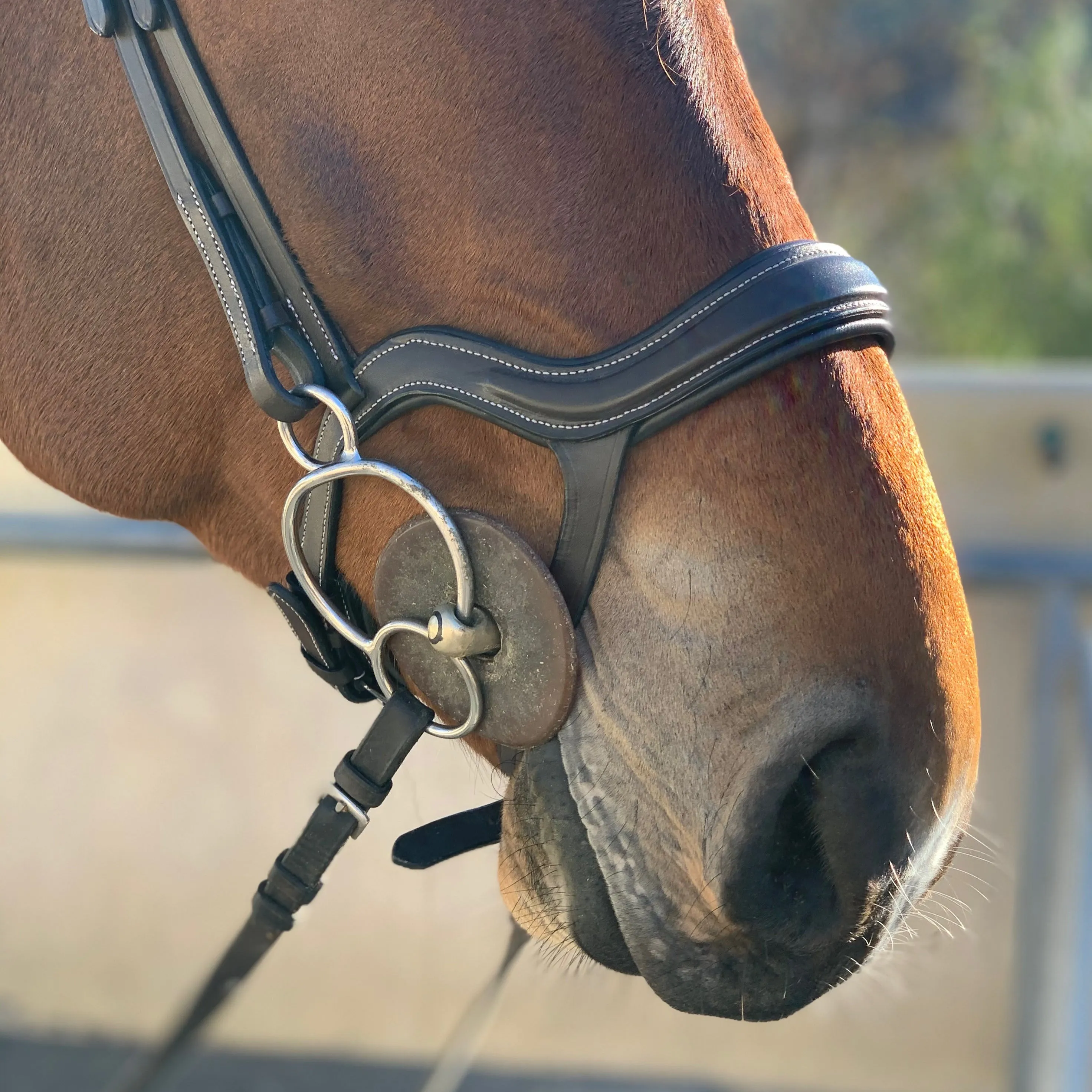 Remington - Brown Leather Anatomical Jumper Bridle