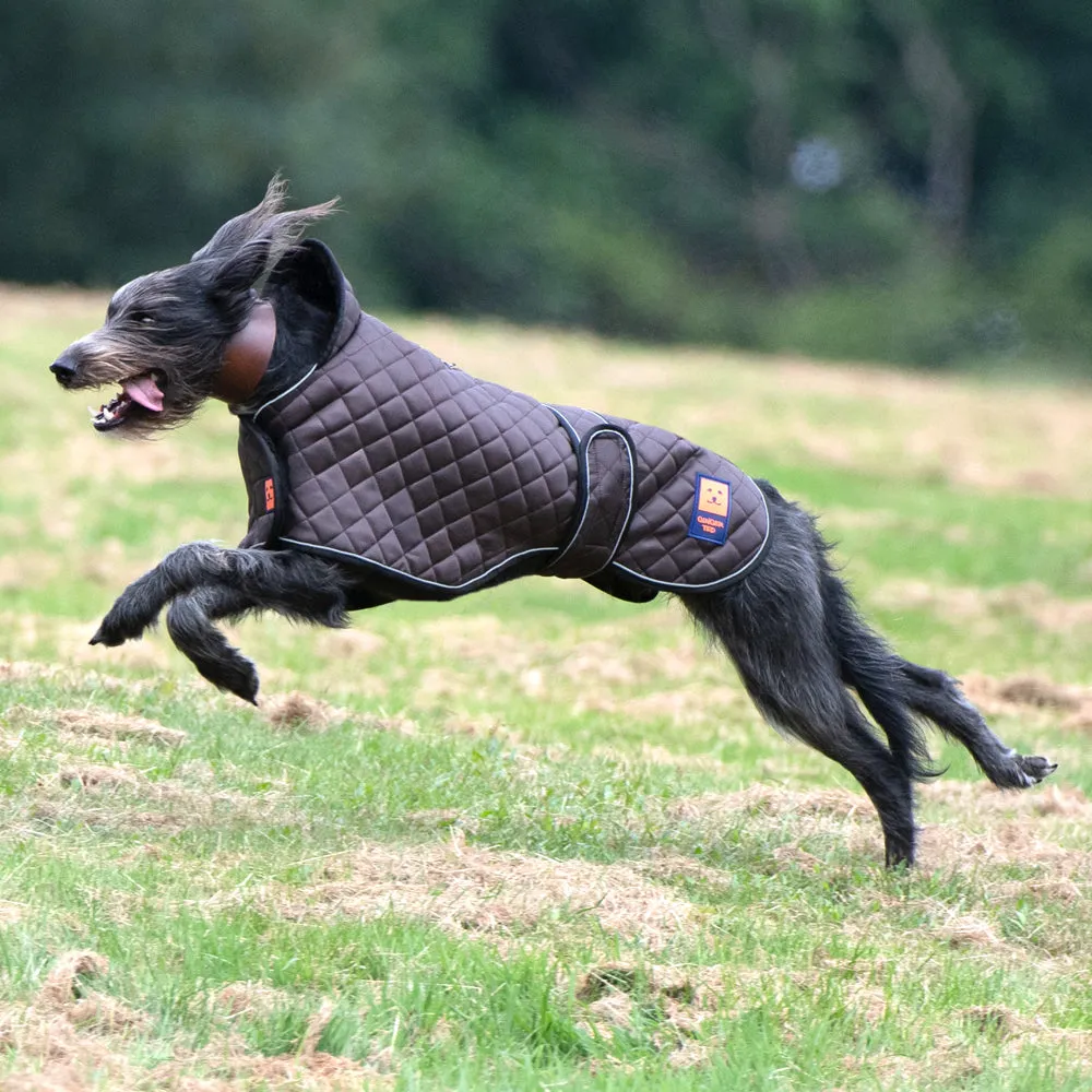 Thermal Harness Greyhound Quilted Coat