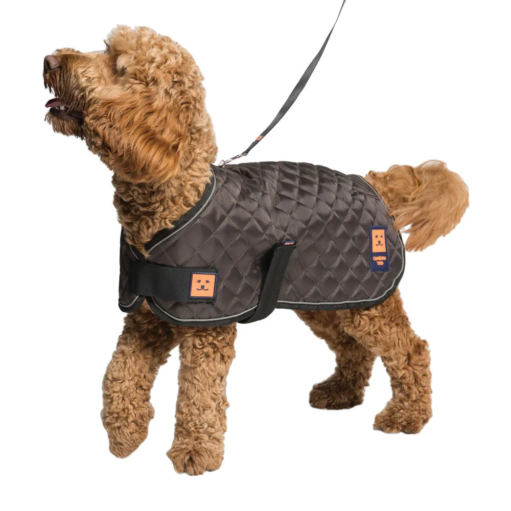 Thermal Harness Quilted Dog Coat